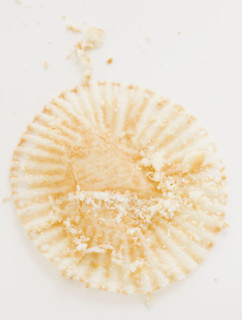 Close up of crumbs on muffin wrapper. Date : 2008