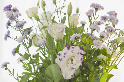 Close up of flowers.