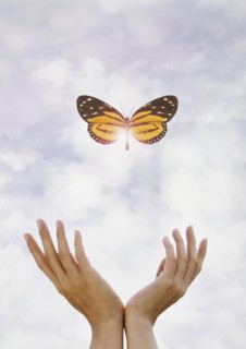 Hands releasing butterfly.