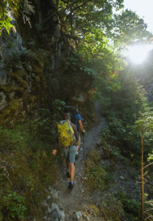 Hikers on forest trail. Date : 2008