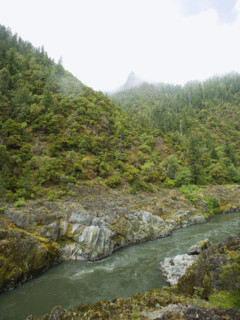 River running through forested canyon. Date : 2008