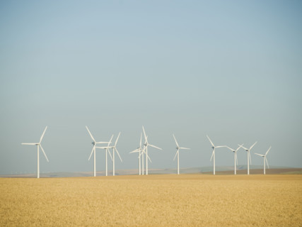 Row on windmills on wind farm. Date : 2008