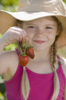 Girl holding fresh strawberries. Date : 2008