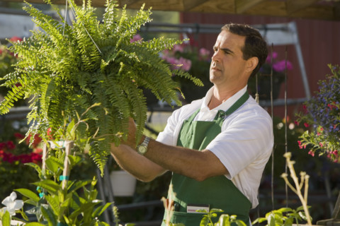Man working in garden center. Date : 2008