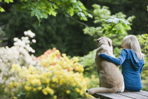 Girl and dog sitting together on picnic table. Date : 2008