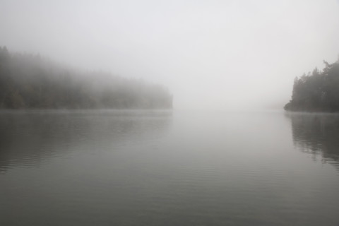 Foggy lake scene. Date : 2008