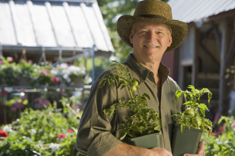 Man shopping for plants. Date : 2008