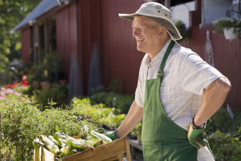 Man working in garden center. Date : 2008