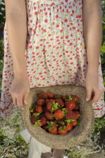 Girl carrying strawberries in straw hat. Date : 2008