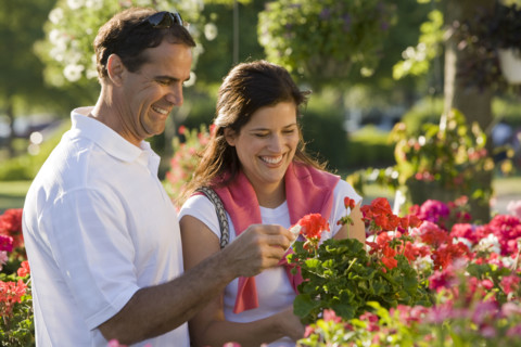 Couple shopping for flowers. Date : 2008