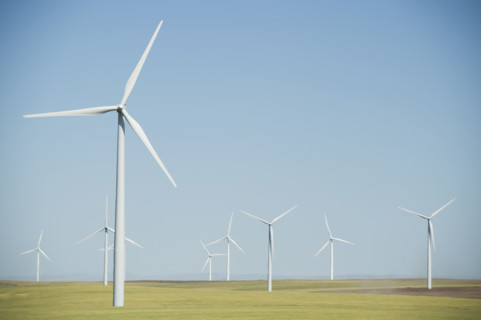 Windmills on wind farm. Date : 2008
