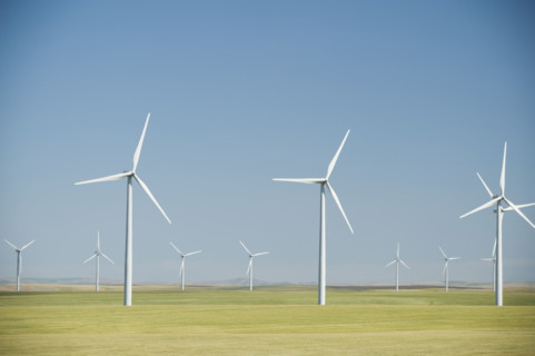 Windmills on wind farm. Date : 2008
