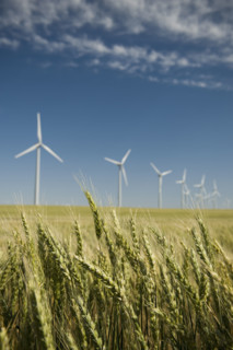 Windmills in a row on wind farm. Date : 2008