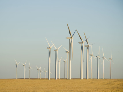 Rows of windmills on wind farm. Date : 2008