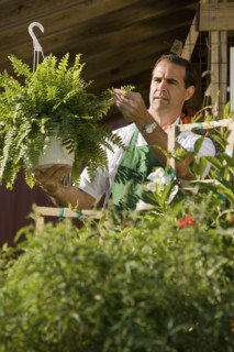 Man working in garden center. Date : 2008