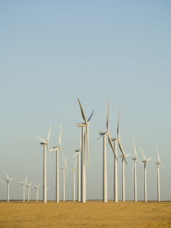 Rows of windmills on wind farm. Date : 2008
