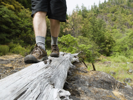 Hiker balancing on log. Date : 2008