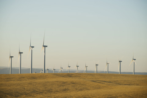 Rows of windmills on wind farm. Date : 2008
