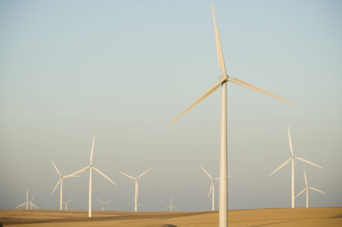 Rows of windmills on wind farm. Date : 2008