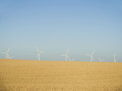 Row on windmills on wind farm. Date : 2008