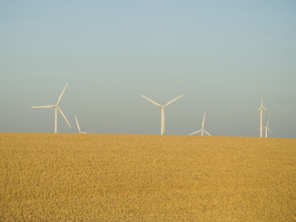 Row of windmills on wind farm. Date : 2008