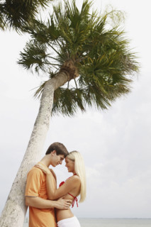 Couple hugging under palm tree. Date : 2008