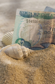 Close up of Bermuda currency in sand with seashells.