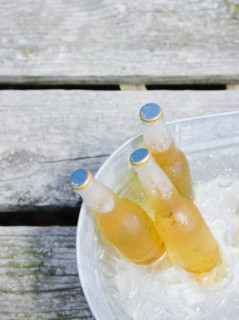 Beer bottles in bucket of ice. Date : 2008