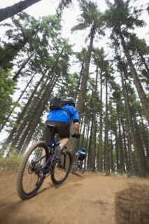 Mountain bikers riding in forest. Date : 2008