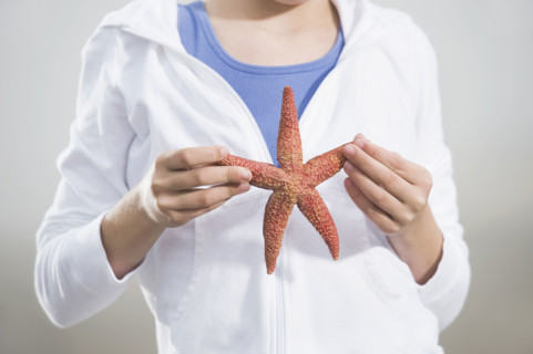 Portrait of girl holding starfish. Date : 2008