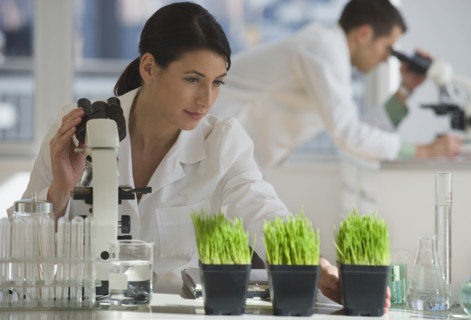 Scientist examining plants in pharmaceutical laboratory.