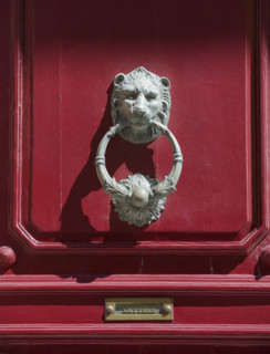 Decorative door knocker.