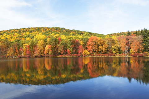 Autumn foliage, Bear Mountain, New York. Date: 2008
