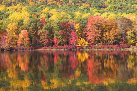 Autumn foliage, Bear Mountain, New York. Date: 2008
