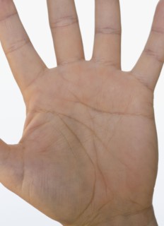 Close up of hand.