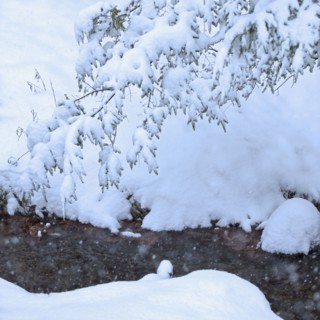 Snowy stream in winter.