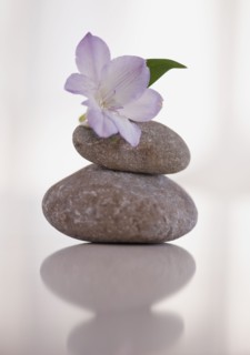 Tropical flower balanced on stones.