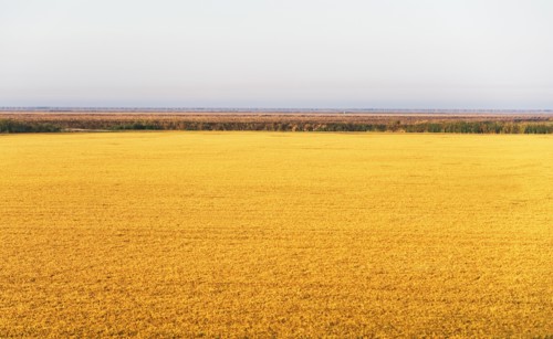Rural landscape. Photographe : fotog