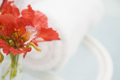 Tropical flowers in vase. Photographe : mark edward atkinson