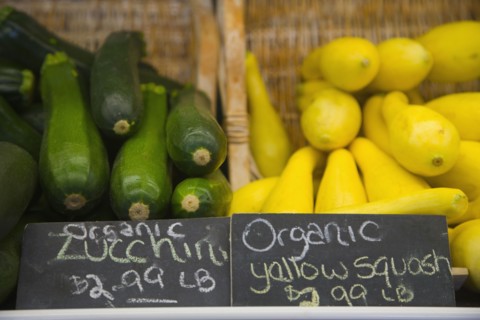Fresh squash. Photographe : Hill Street Studios