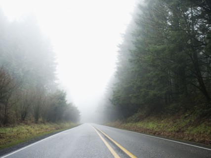 Highway through foggy forest.