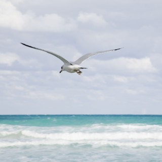 Tropical seascape. Photographe : Jamie Grill