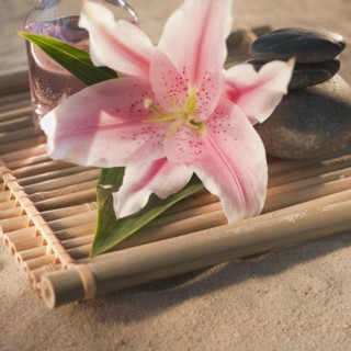Tropical flower and spa elements.