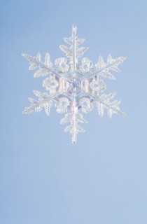 Snowflake decoration. Photographe : Kristin Lee