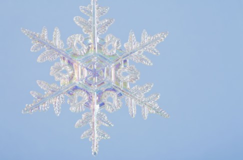 Snowflake decoration. Photographe : Kristin Lee