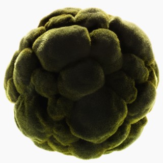 Ball of green grass. Photographe : Joe Clark