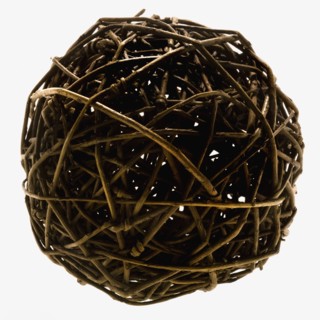 Ball of twigs. Photographe : Joe Clark