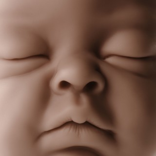 Close up of baby doll face. Photographe : Joe Clark
