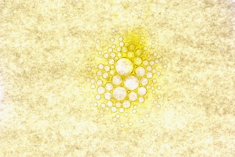 Olive oil bubbles. Photographe : Joe Clark