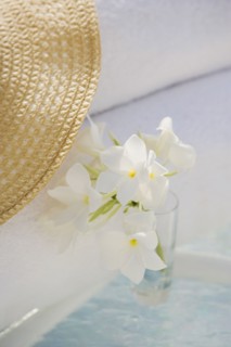 Tropical flowers in . Photographe : mark edward atkinson